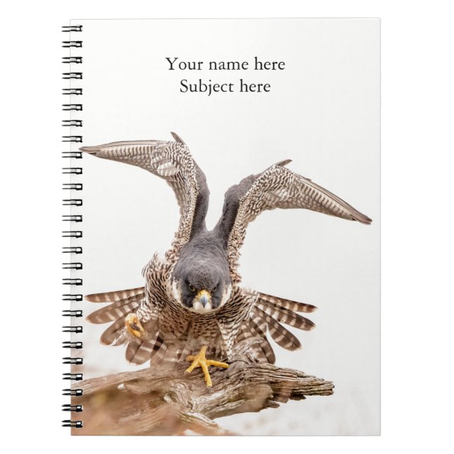 Peregrine Falcon Notebook (Front)