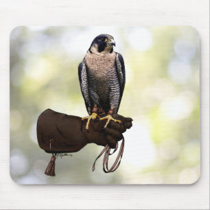 Peregrine Falcon on Glove Mouse Mat