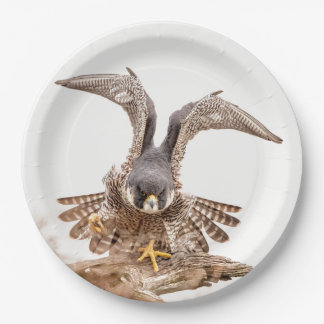 Peregrine Falcon Paper Plate