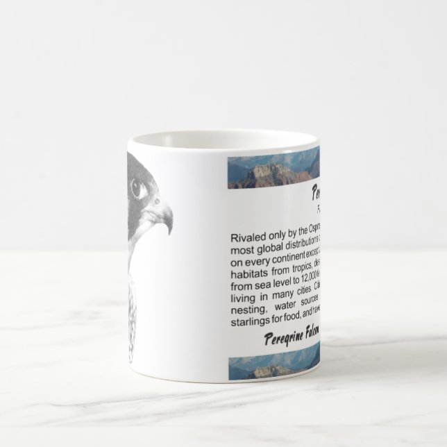 Peregrine Falcon-Pencil Coffee Mug (Center)