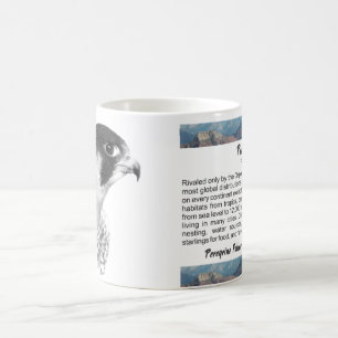 Peregrine Falcon-Pencil Coffee Mug