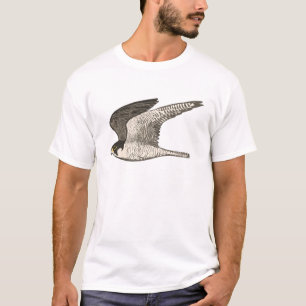 Peregrine Falcon Pencil Illustration T-Shirt
