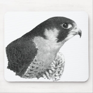 Peregrine Falcon-Pencil Mouse Mat