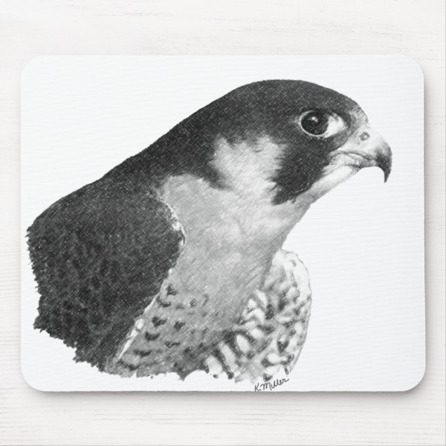 Peregrine Falcon-Pencil Mouse Mat (Front)