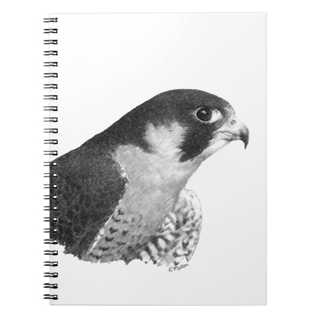 Peregrine Falcon-Pencil Notebook (Front)