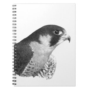 Peregrine Falcon-Pencil Notebook