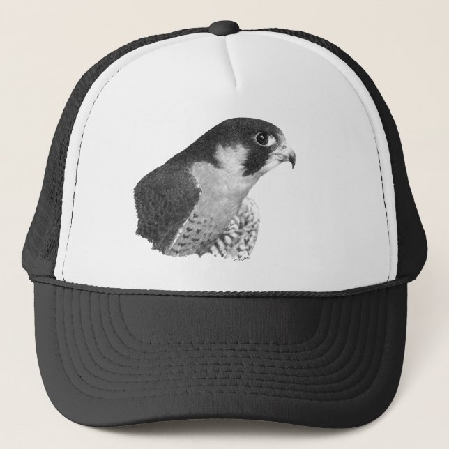 Peregrine Falcon-Pencil Trucker Hat (Front)