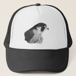 Peregrine Falcon-Pencil Trucker Hat