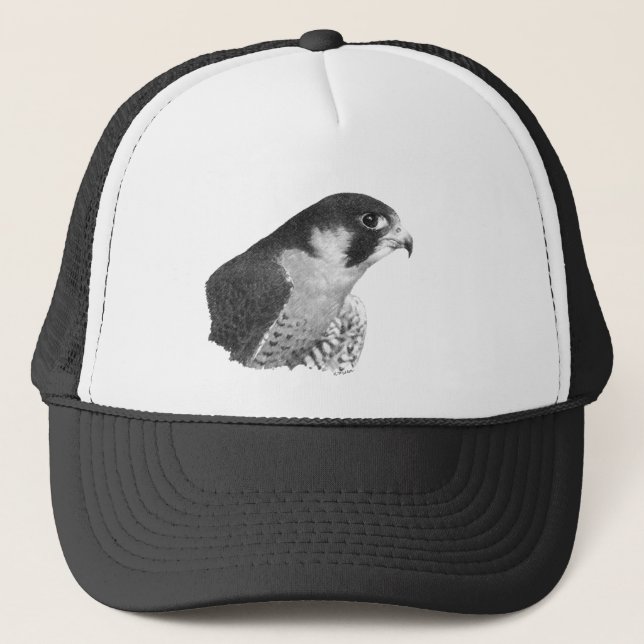 Peregrine Falcon-Pencil Trucker Hat (Front)