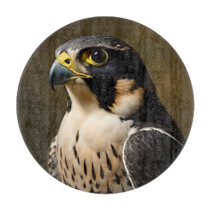 Peregrine Falcon Portrait Cutting Board