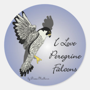 Peregrine Falcon Round Stickers