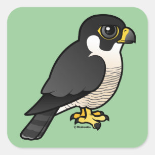 Peregrine Falcon Square Sticker