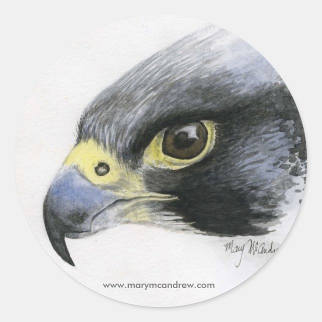 Peregrine Falcon stickers (Front)