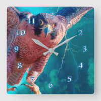 Peregrine Falcon WINGS OF MERCURY Square Wall Cloc
