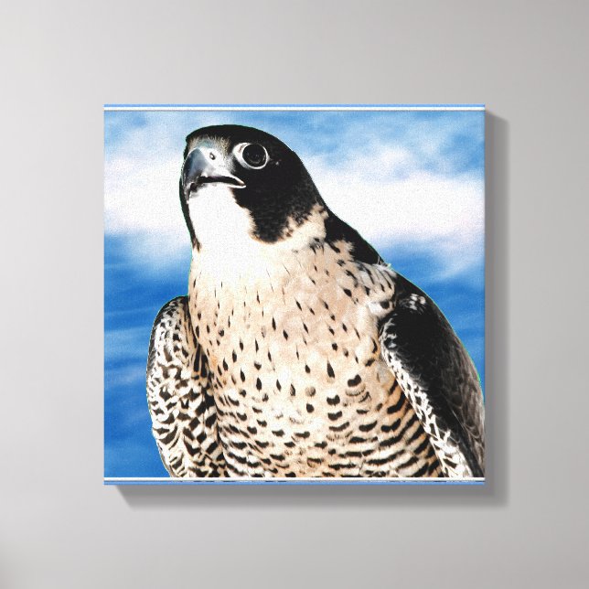 Peregrine Falcon Wrapped Canvas Print (Front)