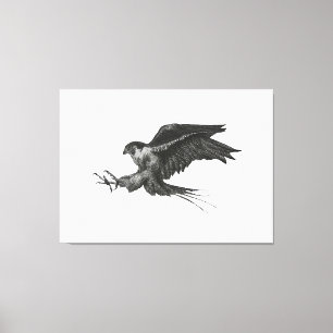 Peregrine Hawk canvas print