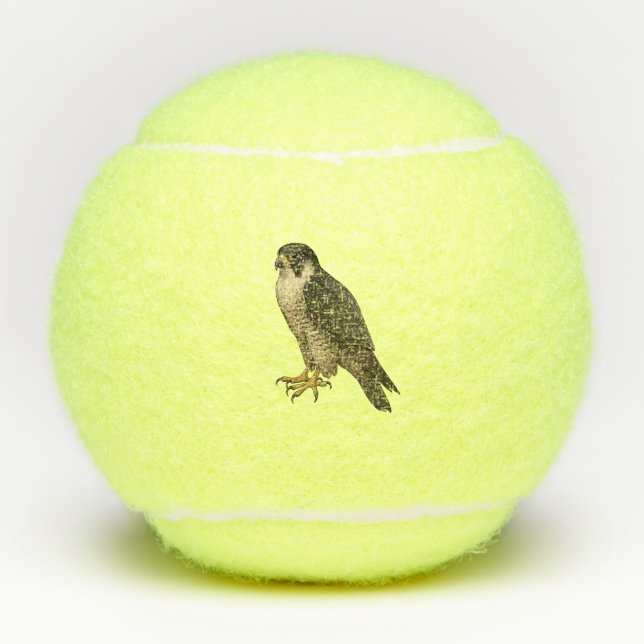 peregrine tennis balls (Front)