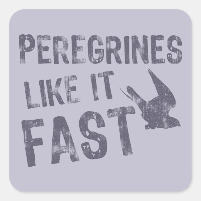 Peregrines Like It Fast Square Sticker (Front)