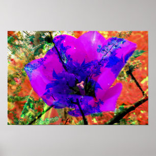 perfect apology poster