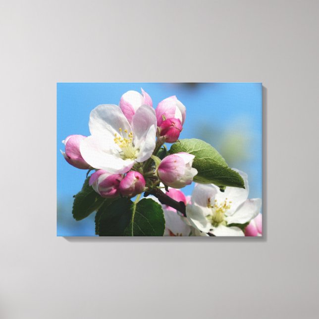 Perfect Apple Blossom WrappedCanvas (Gloss) Canvas Print (Front)