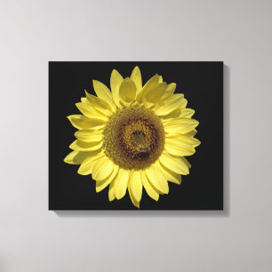perfect bright yellow sunflower and bee in black canvas print