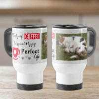 Perfect cat pet and coffee grey red photo