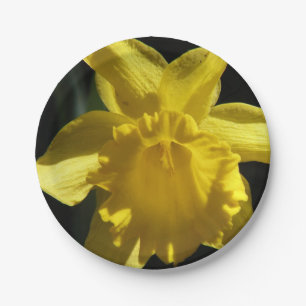Perfect Daffodil Paper Plate