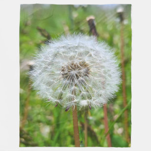 Perfect Dandelion – Botanical Macro Photography Fleece Blanket