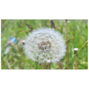 Perfect Dandelion – Botanical Macro Photography Tablecloth