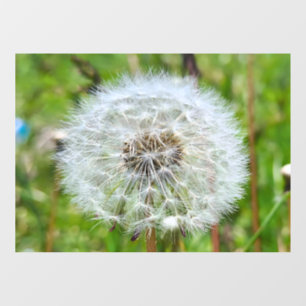 Perfect Dandelion – Botanical Macro Photography Window Cling