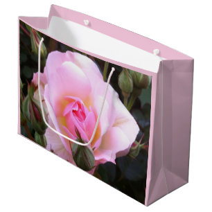 Perfect English Pink Rose Large Sized Gift Bag