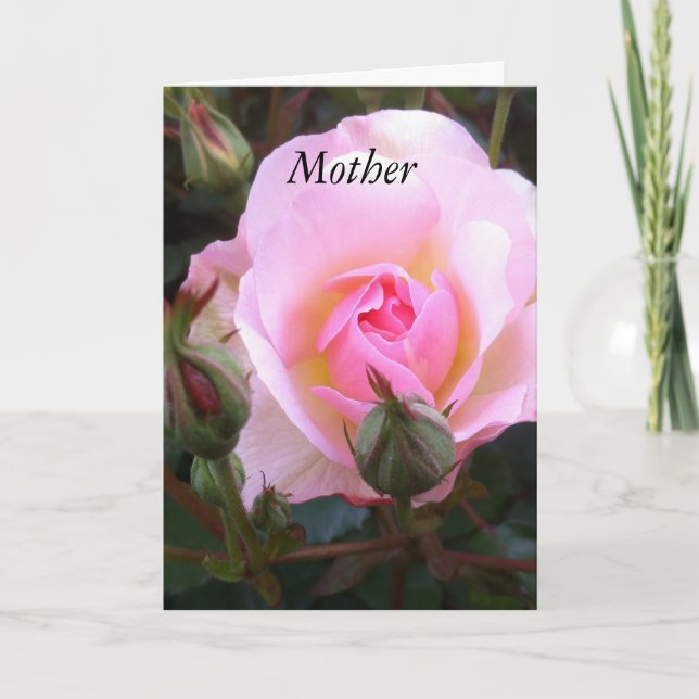 Perfect English Rose Greetings card (Front)