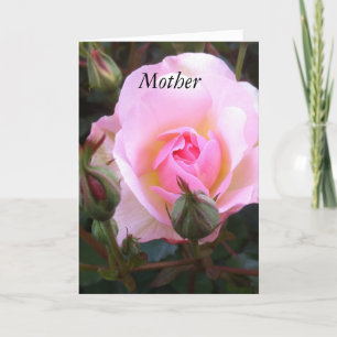 Perfect English Rose Greetings card