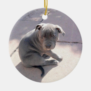 Perfect gift for the staffordshire bull terrier lo ceramic tree decoration
