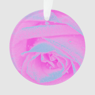 Perfect Hot Pink and Light Blue Rose Detail Ornament
