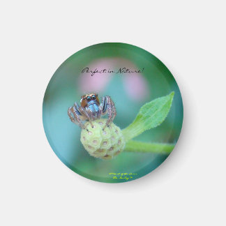 Perfect in Nature Award Magnet