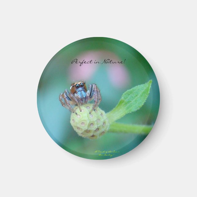 Perfect in Nature Award Magnet (Front)