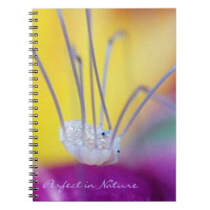 Perfect in Nature Notebook