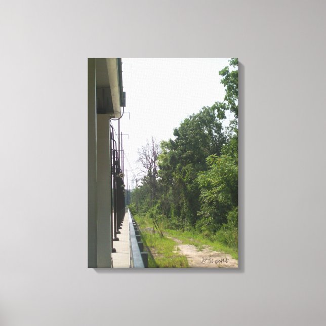 Perfect Industrial and Natural Symmetry Canvas Print (Front)