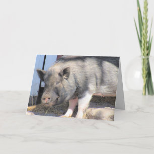 Perfect Little Piggy - Farm Life Series - Greeting Card