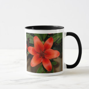 Perfect Orange Lily Flower Mug