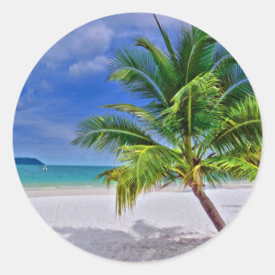 Perfect Palm Tree Tropical Island Beach Classic Round Sticker