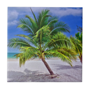 Perfect Palm Tree Tropical Island Beach Tile