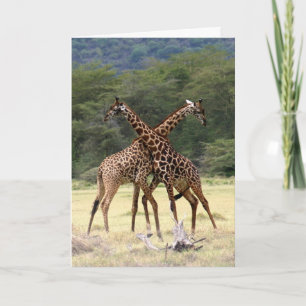 Perfect Partners Card