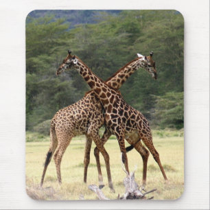 Perfect Partners Mouse Mat