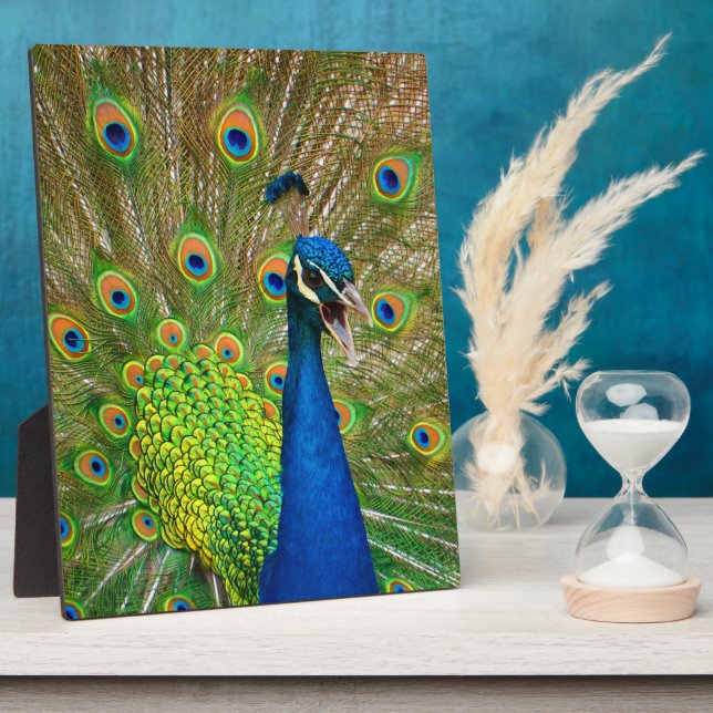 Perfect Peacock Plumage Plaque (Side)