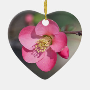 Perfect Pink Flowering Quince Ceramic Tree Decoration