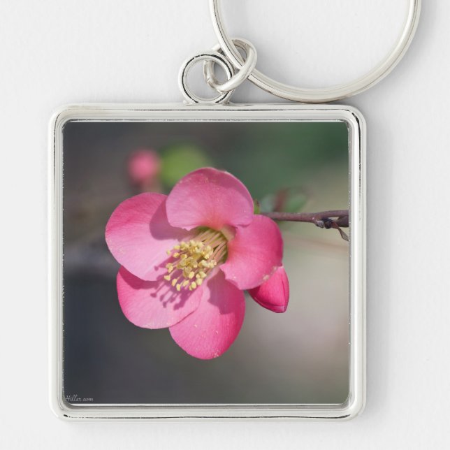 Perfect Pink Flowering Quince Key Ring (Front)