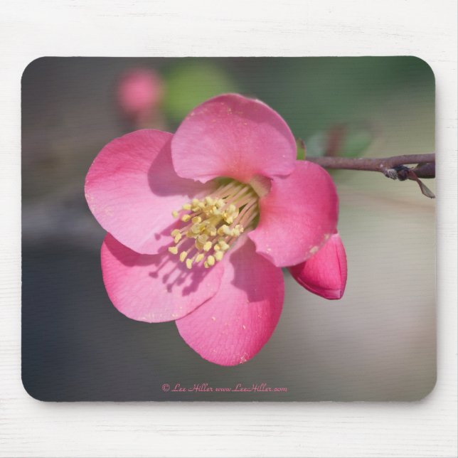 Perfect Pink Flowering Quince Mouse Mat (Front)