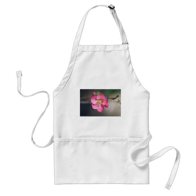 Perfect Pink Flowering Quince Standard Apron (Front)